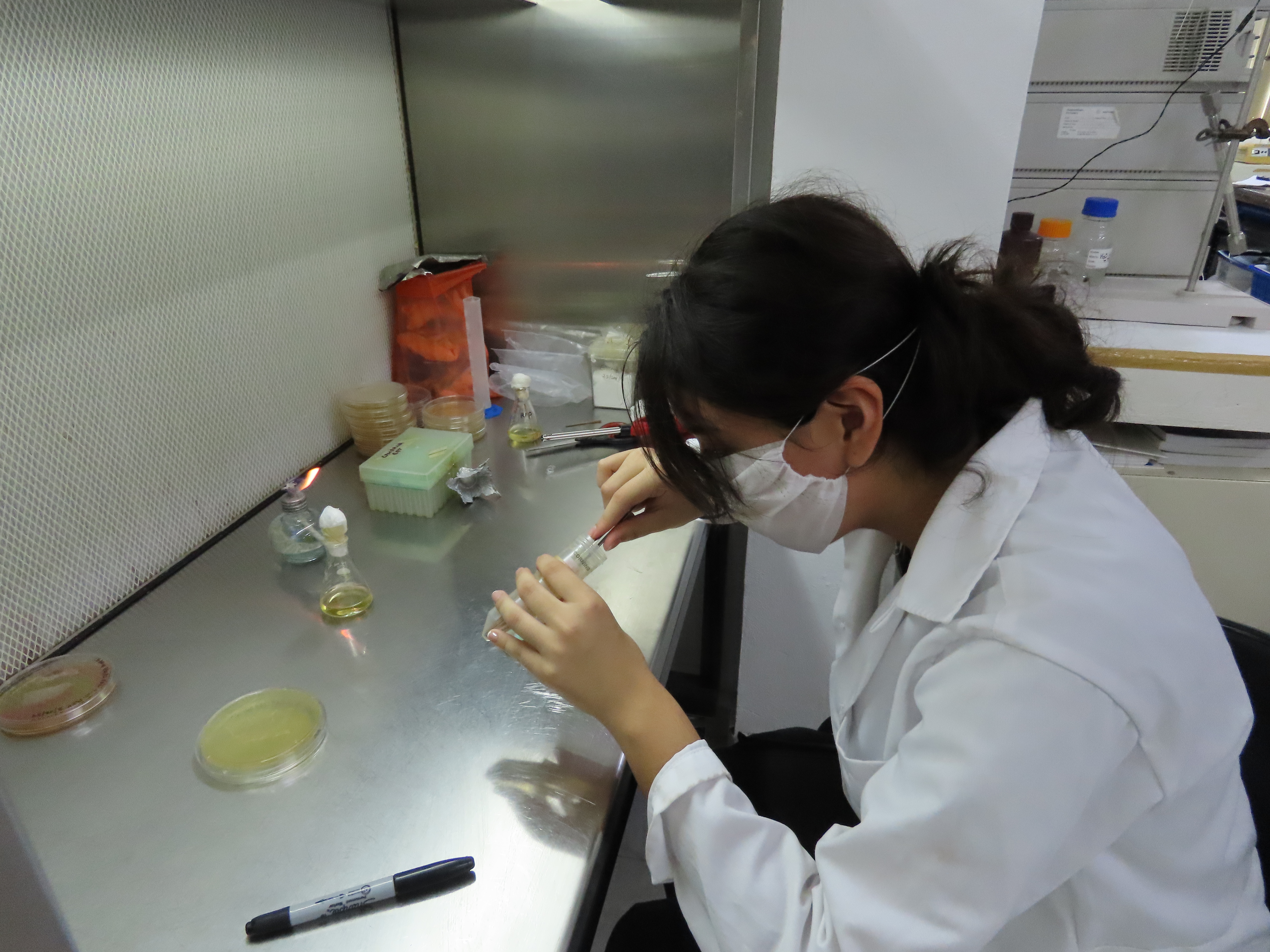 Investigación en biotecnología